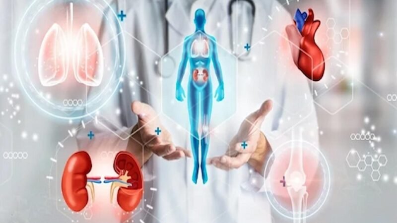 Wellness Revolution: Redefining Health in the Modern Age