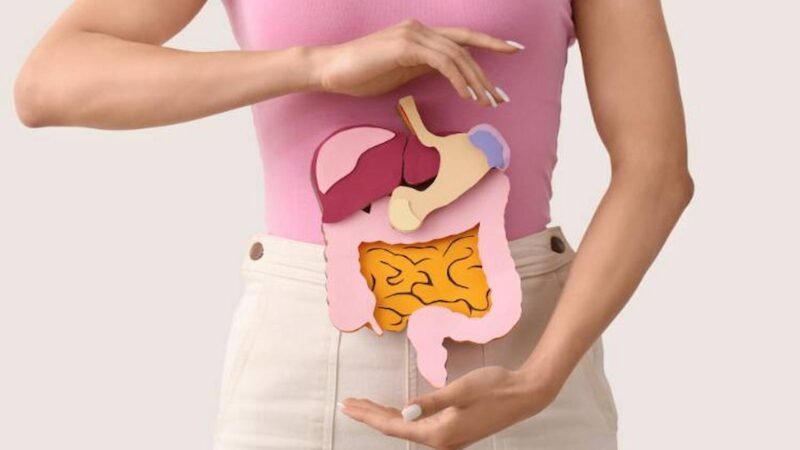 Gut Balance Reimagined: How Probiotic Supplements Support Modern Digestive Wellness